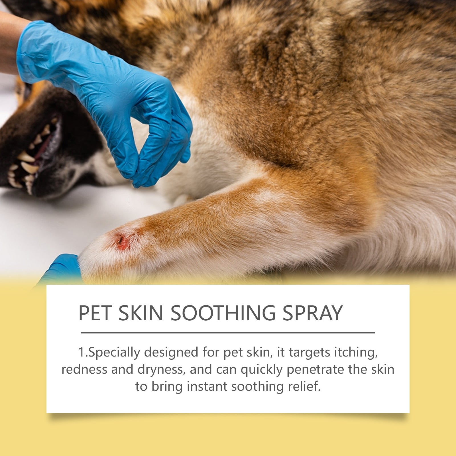 Spray Anti-Pulci, Anti-Pidocchi e Cura Pelle per Cani e Gatti – 50ml, Formula Vegetale