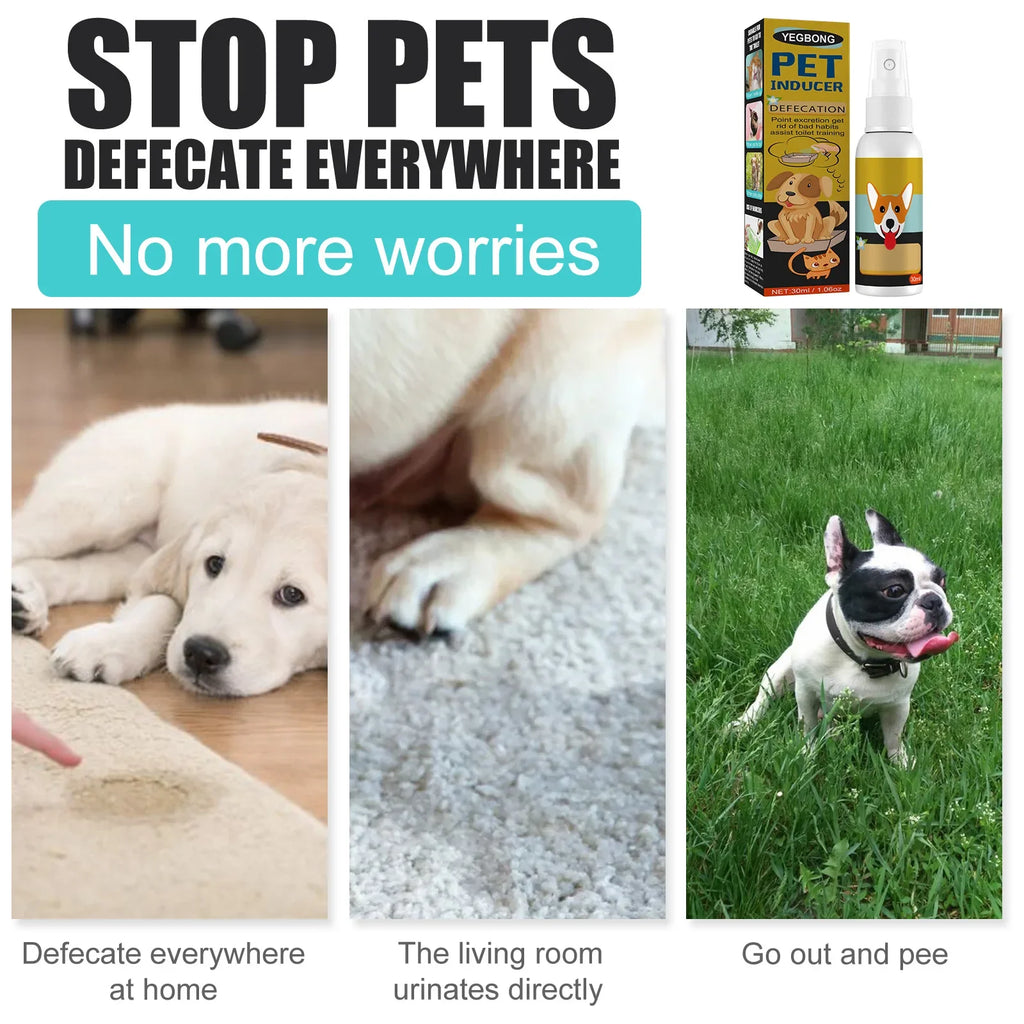 Spray Induttore Toilette per Cani e Gatti – 30ml, Addestramento Pipì e Cacca, Sicuro e Naturale