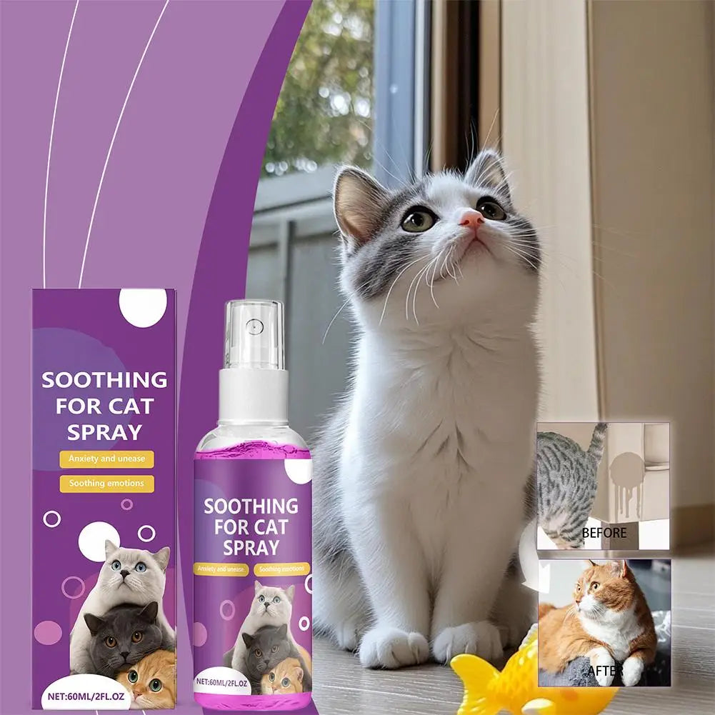 Spray Feromoni Calmanti per Gatti – 60ml, Approvato Veterinari, Anti-Graffi e Anti-Marcatura