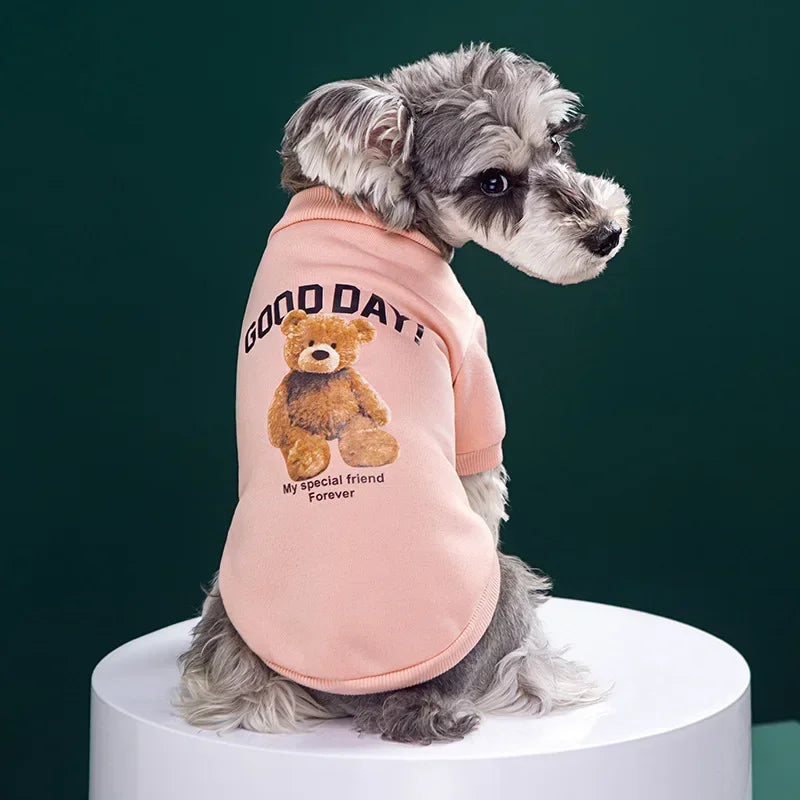 Felpa Invernale Pattern Orso per Cani e Gatti – Pullover Caldo in Pile, 4 Colori 6 Taglie
