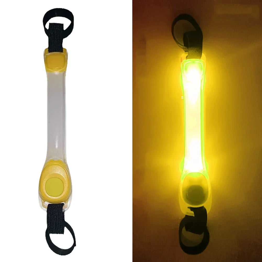 Collare LED Luminoso per Cani – Sicurezza Notturna Impermeabile con Ricarica USB