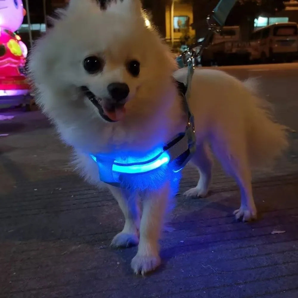 Pettorina LED Luminosa Ricaricabile per Cani – Sicurezza Notturna, 7 Colori, 4 Taglie