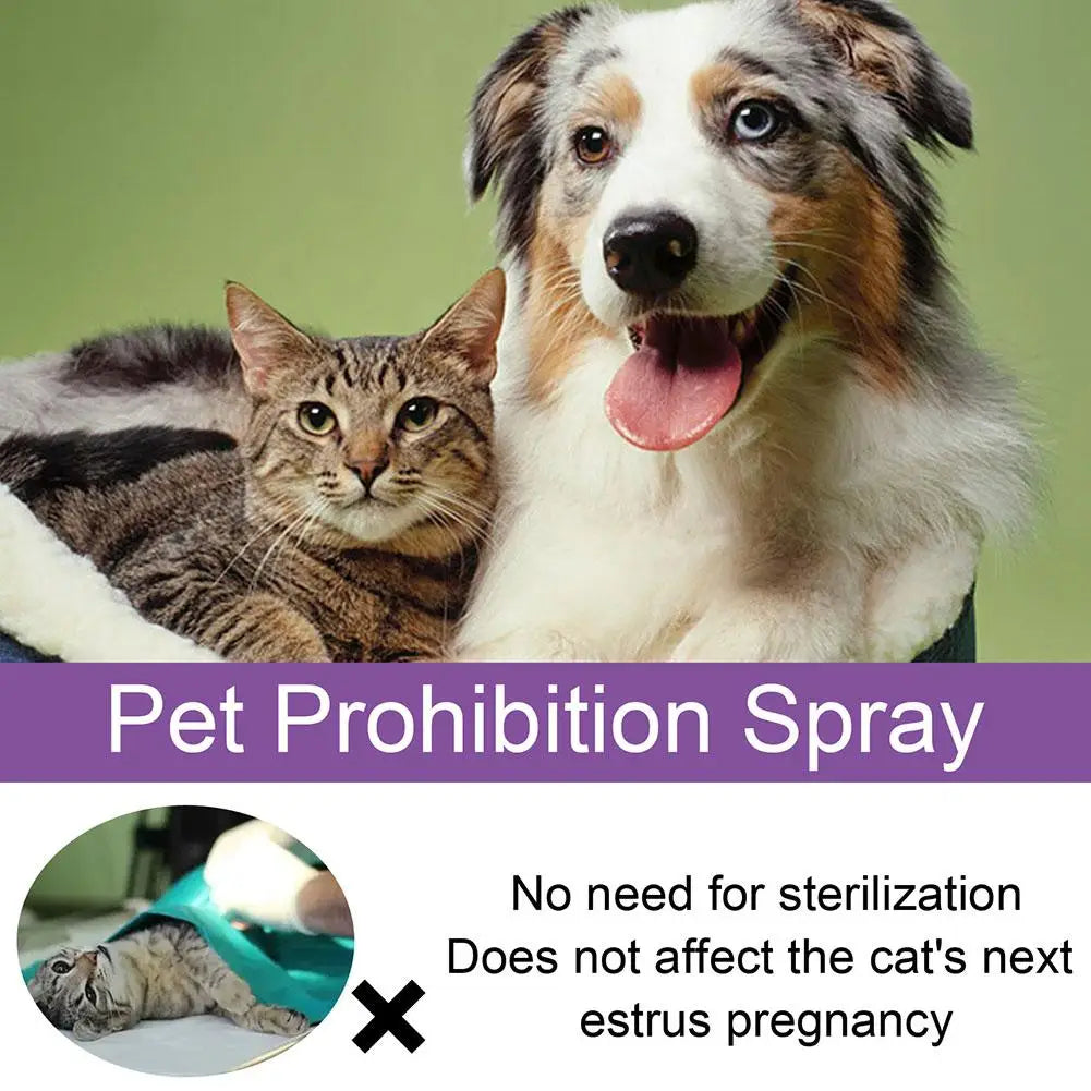 Spray Calmante Feromoni per Cani e Gatti – 50ml, Anti-Ansia, Riduce Agitazione da Estro