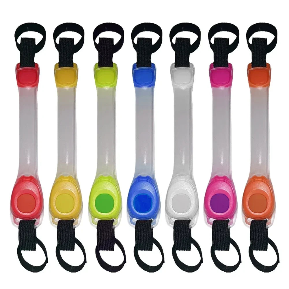 Collare LED Luminoso per Cani – Sicurezza Notturna Impermeabile con Ricarica USB