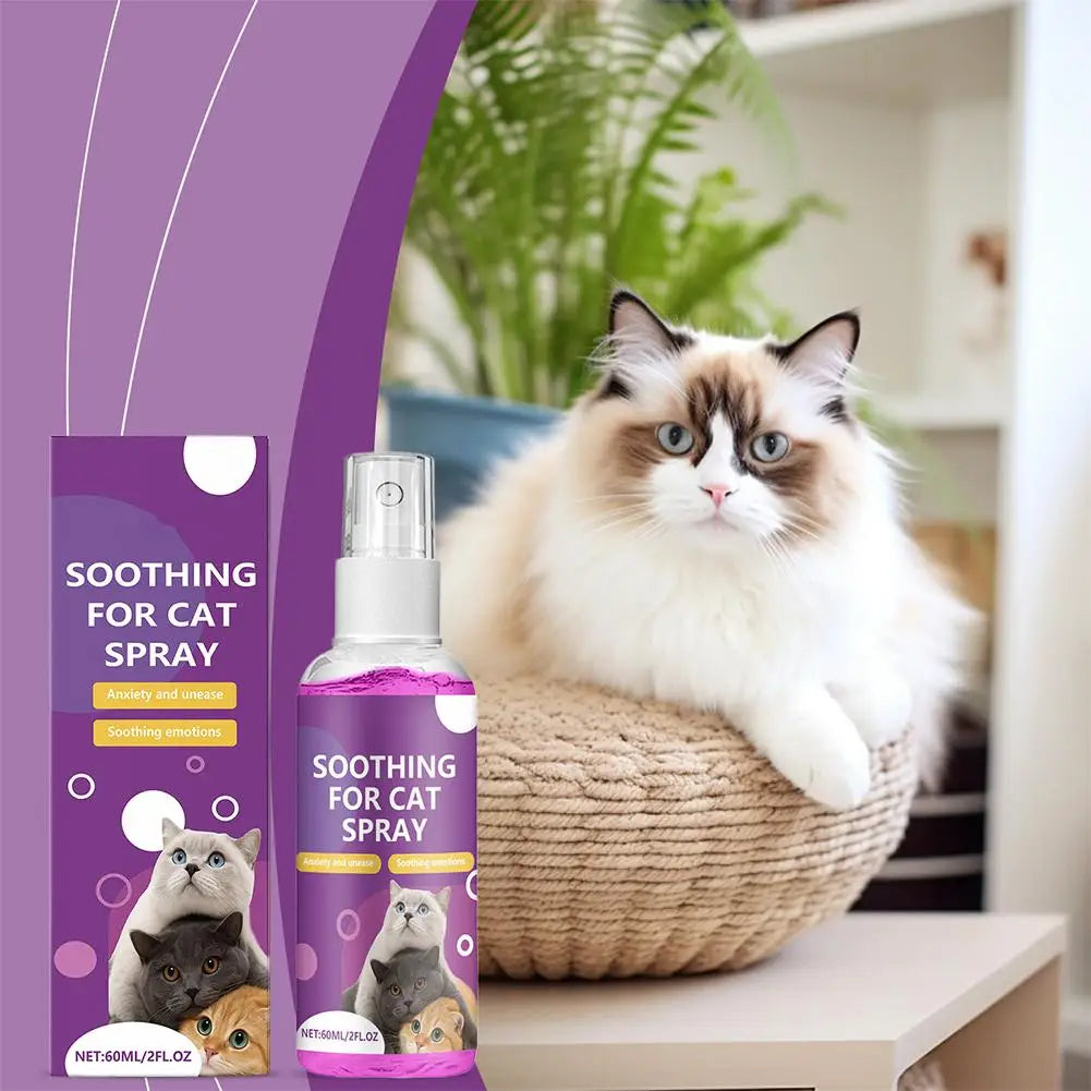 Spray Feromoni Calmanti per Gatti – 60ml, Approvato Veterinari, Anti-Graffi e Anti-Marcatura