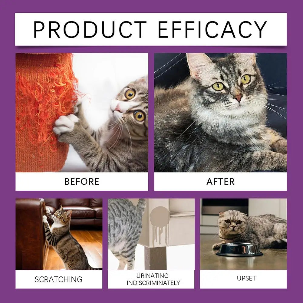 Spray Feromoni Calmanti per Gatti – 60ml, Approvato Veterinari, Anti-Graffi e Anti-Marcatura