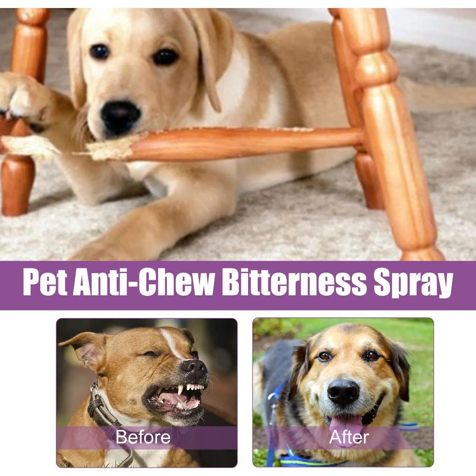 Spray Calmante Anti-Abbaio per Cani – 50ml, Camomilla e Lavanda, Riduce Comportamenti Negativi