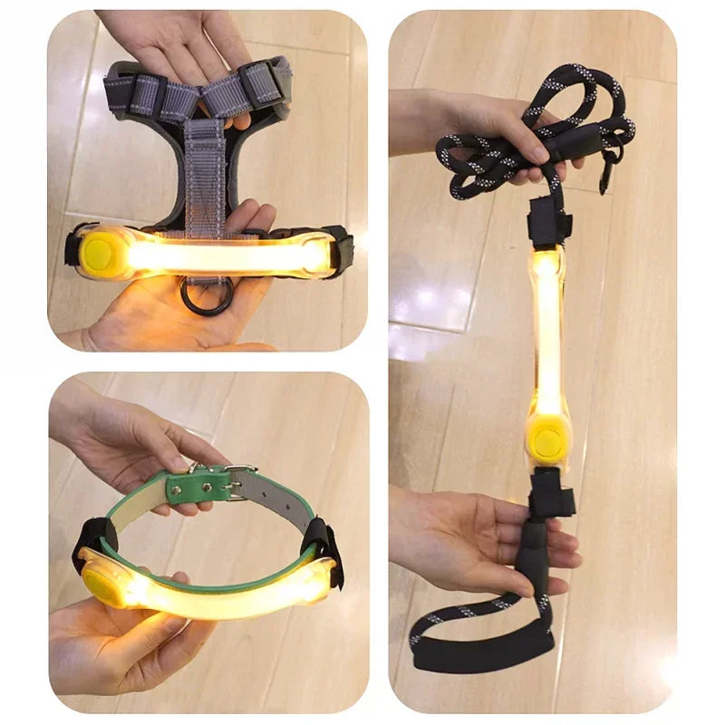 Collare LED Luminoso per Cani – Sicurezza Notturna Impermeabile con Ricarica USB