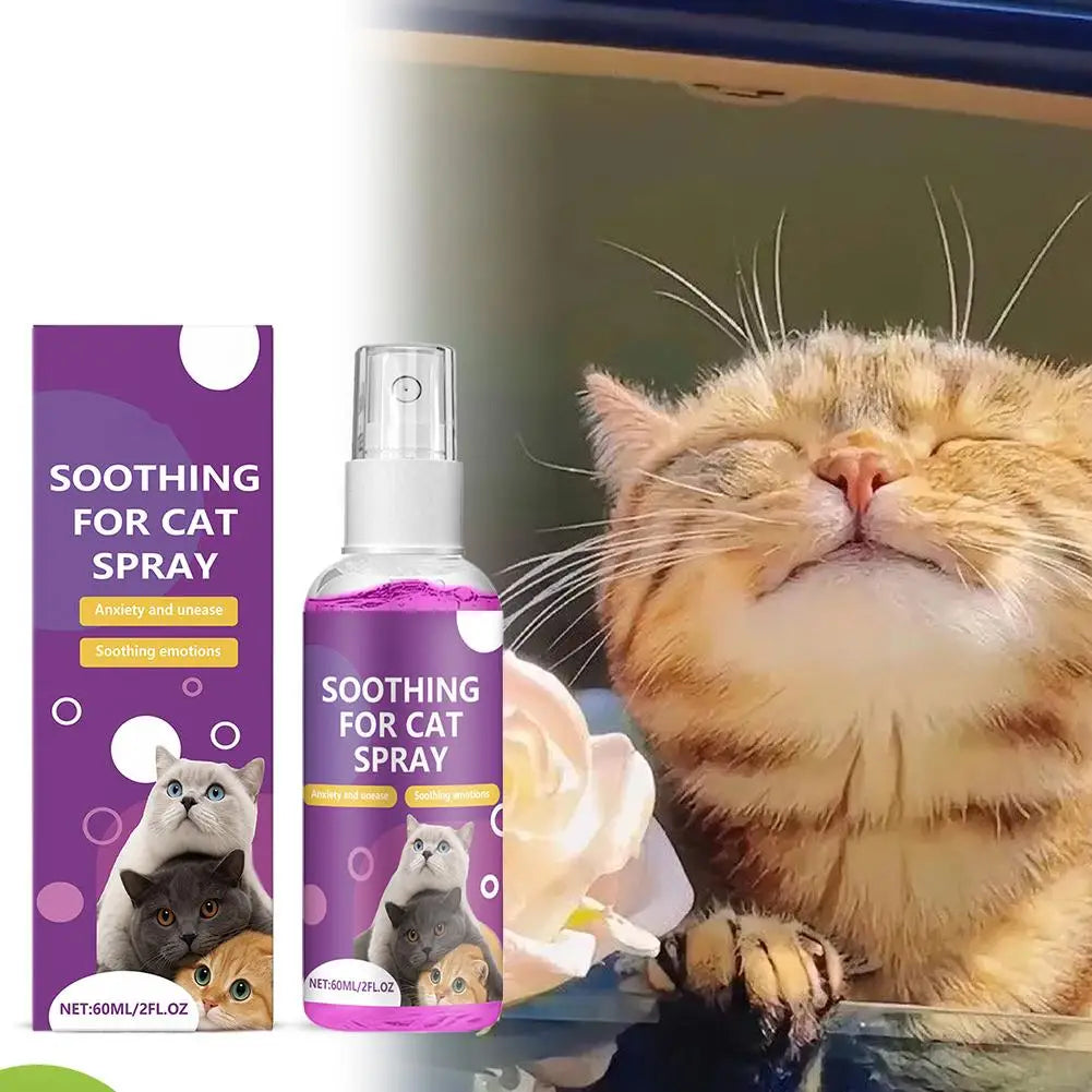 Spray Feromoni Calmanti per Gatti – 60ml, Approvato Veterinari, Anti-Graffi e Anti-Marcatura