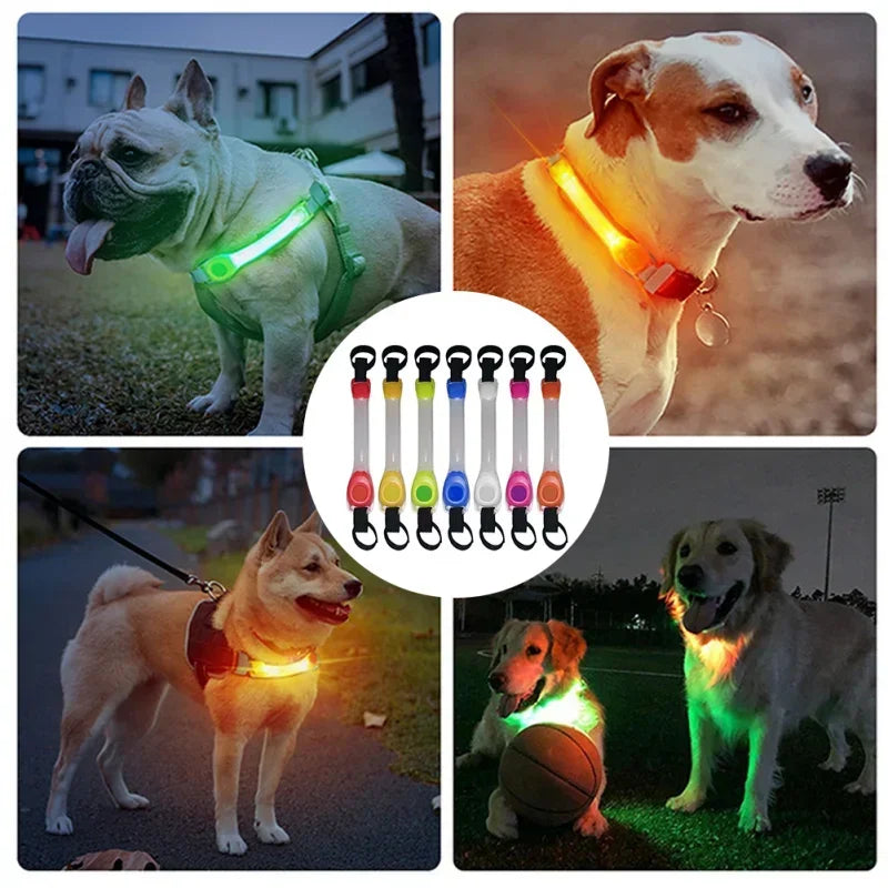 Collare LED Luminoso per Cani – Sicurezza Notturna Impermeabile con Ricarica USB