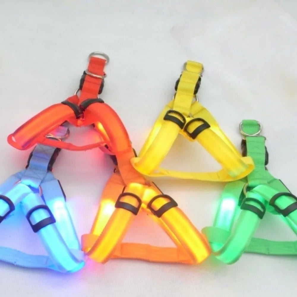 Pettorina LED Luminosa Ricaricabile per Cani – Sicurezza Notturna, 7 Colori, 4 Taglie