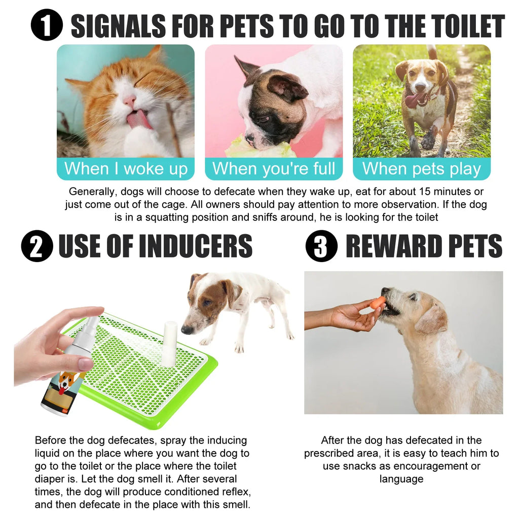 Spray Induttore Toilette per Cani e Gatti – 30ml, Addestramento Pipì e Cacca, Sicuro e Naturale