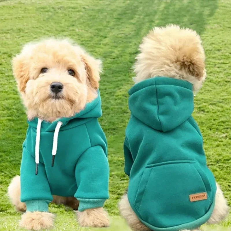 Felpa con Cappuccio in Pile per Cani Piccoli e Medi – Calda e Morbida, 4 Colori 4 Taglie