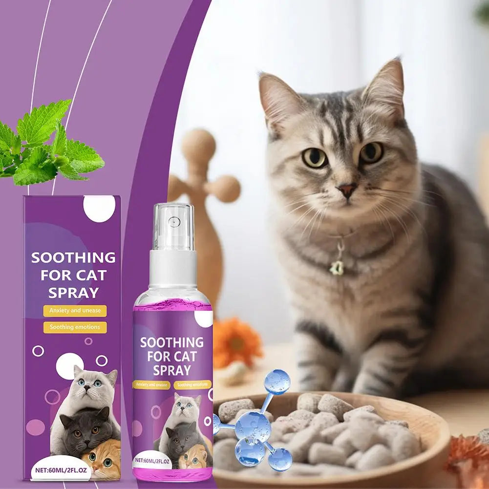 Spray Feromoni Calmanti per Gatti – 60ml, Approvato Veterinari, Anti-Graffi e Anti-Marcatura