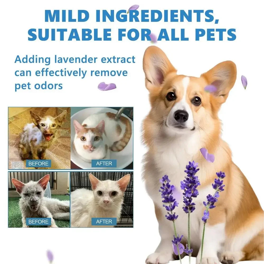 Spazzola Vapore Elettrica 3 in 1 per Cani e Gatti – Massaggio, Grooming e Districante, 7 Varianti