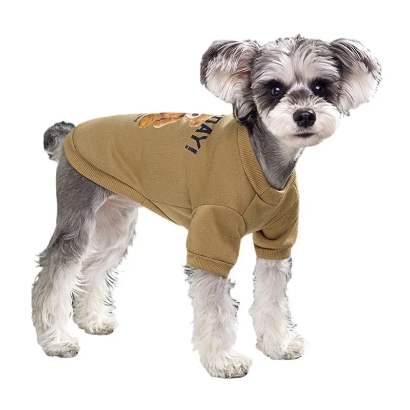 Felpa Invernale Pattern Orso per Cani e Gatti – Pullover Caldo in Pile, 4 Colori 6 Taglie