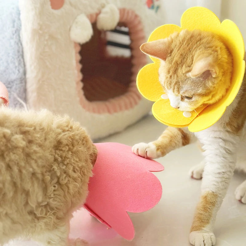 Collare di Recupero Morbido Post-Operatorio per Cani e Gatti – Alternativa Comoda al Cono Rigido