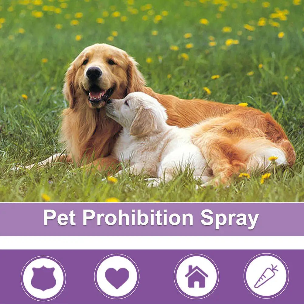 Spray Calmante Feromoni per Cani e Gatti – 50ml, Anti-Ansia, Riduce Agitazione da Estro