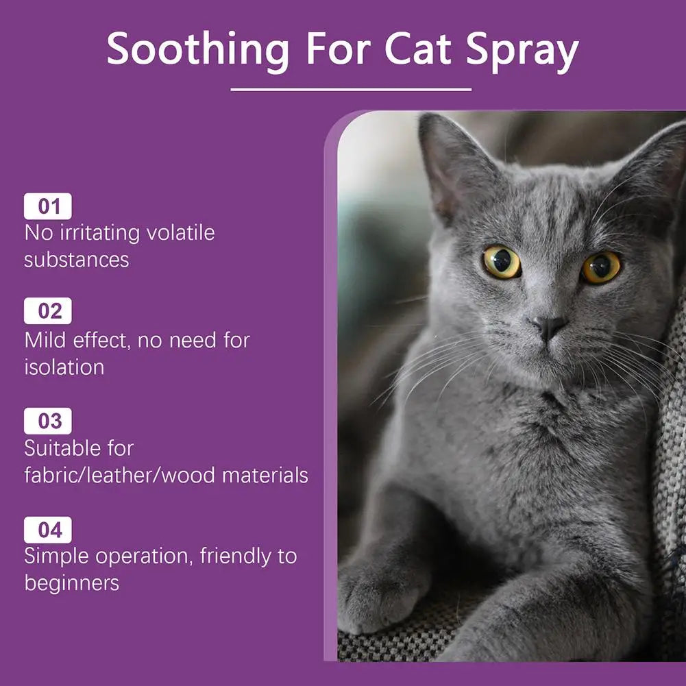 Spray Feromoni Calmanti per Gatti – 60ml, Approvato Veterinari, Anti-Graffi e Anti-Marcatura