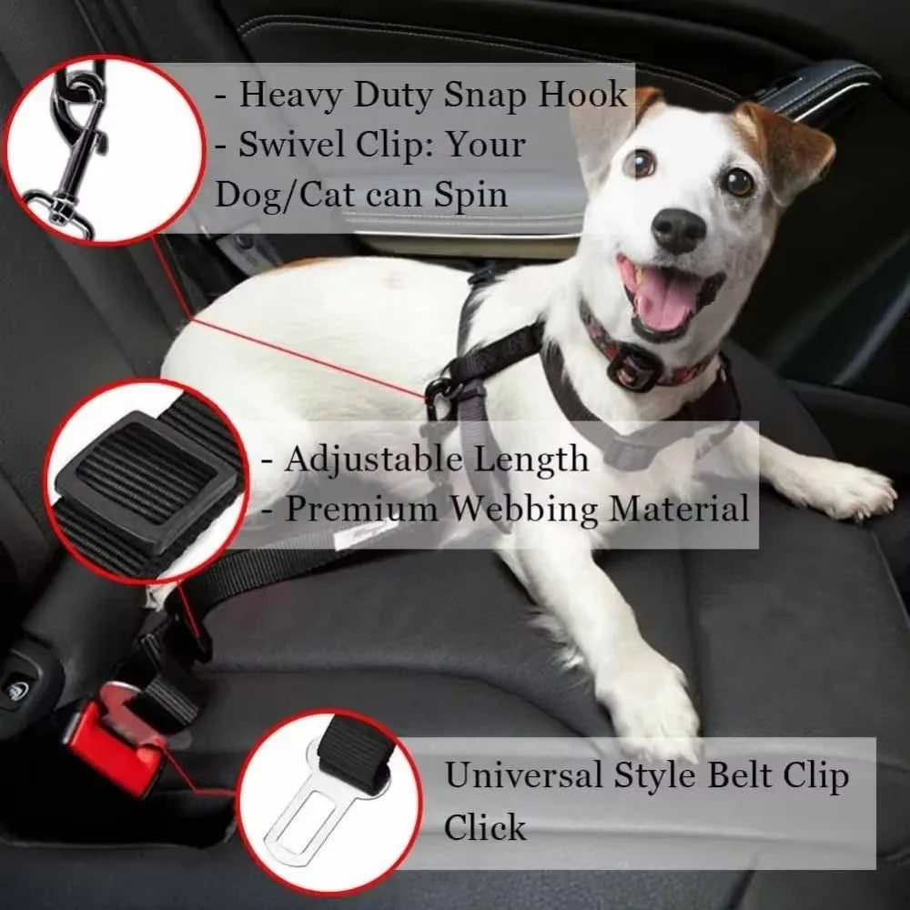 Cintura di Sicurezza Auto per Cani e Gatti – Regolabile, Gancio Acciaio, 10 Colori