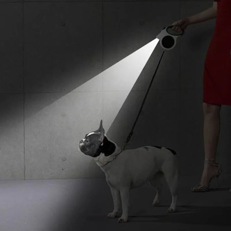 Guinzaglio Retrattile Luminoso LED per Cani Medi e Grandi – 5m, Sicurezza Notturna, 2 Colori
