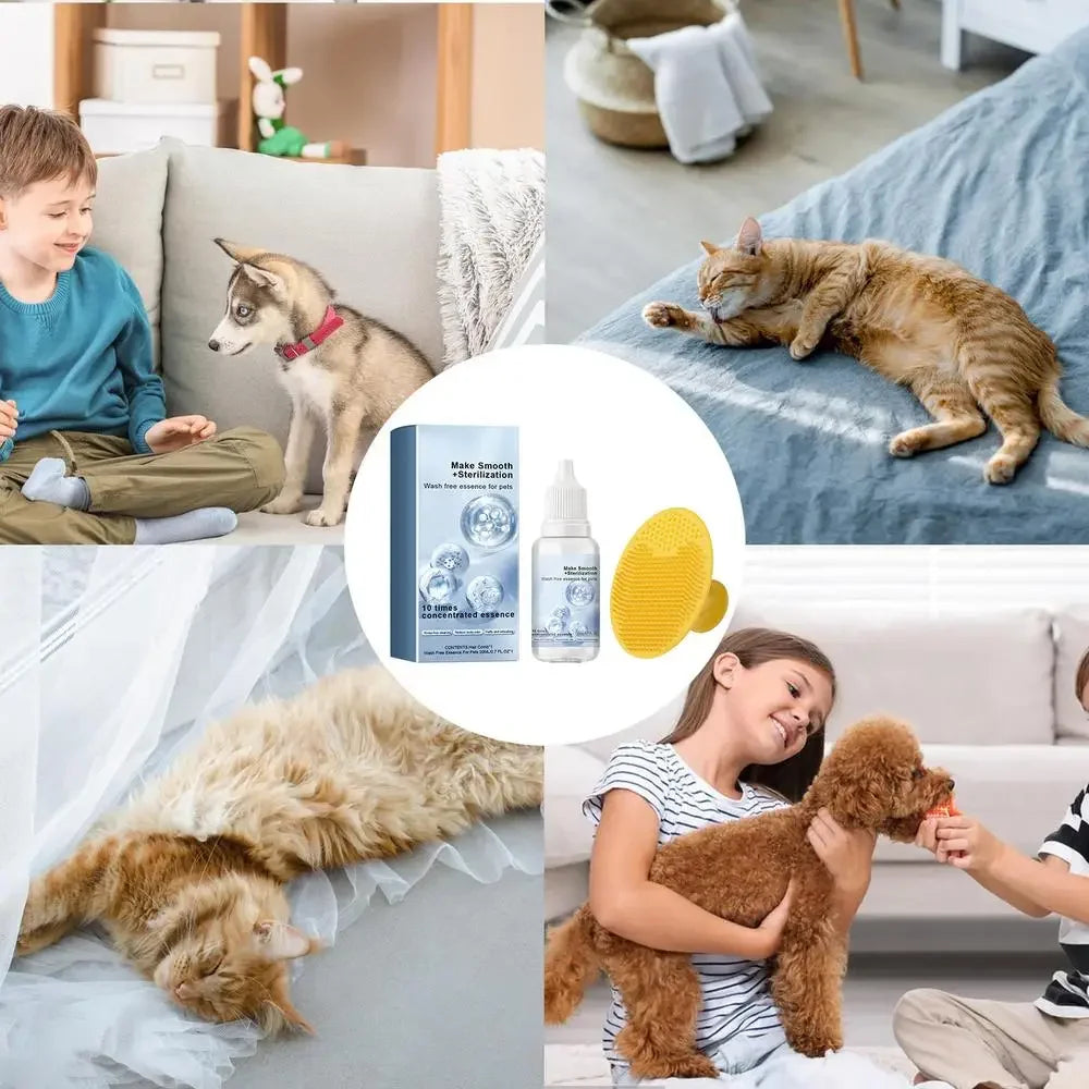 Spazzola Vapore Elettrica 3 in 1 per Cani e Gatti – Massaggio, Grooming e Districante, 7 Varianti