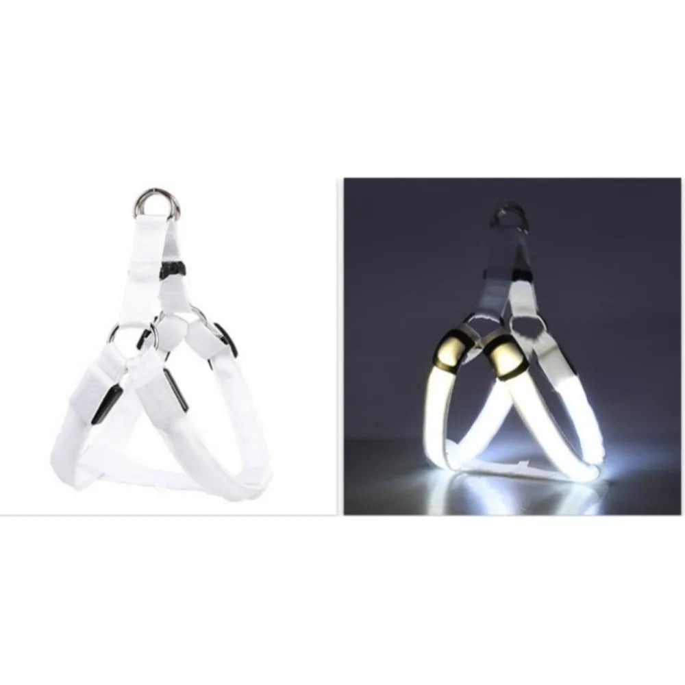 Pettorina LED Luminosa Ricaricabile per Cani – Sicurezza Notturna, 7 Colori, 4 Taglie