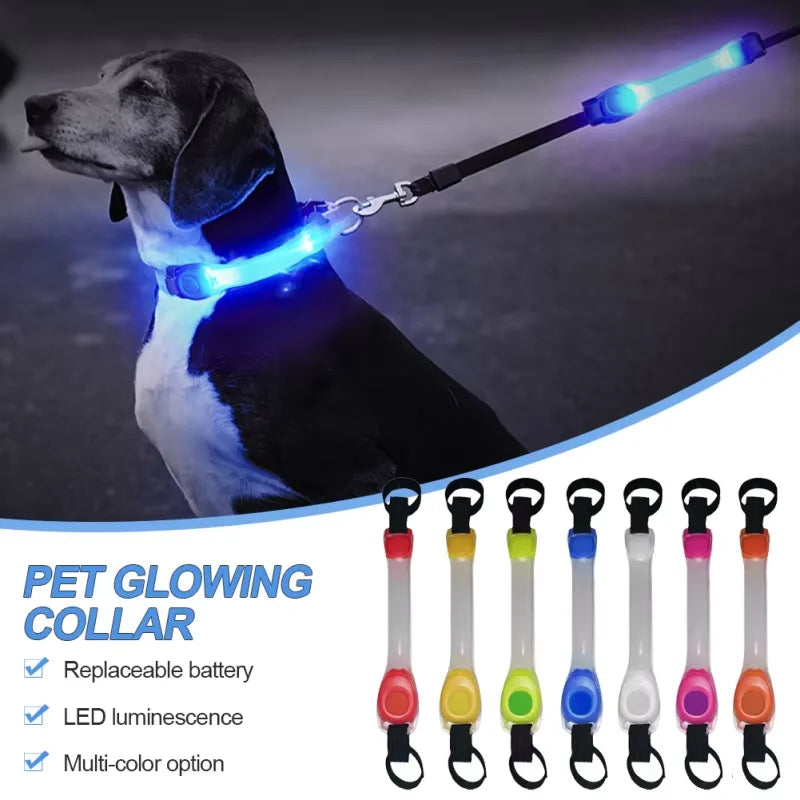 Collare LED Luminoso per Cani – Sicurezza Notturna Impermeabile con Ricarica USB