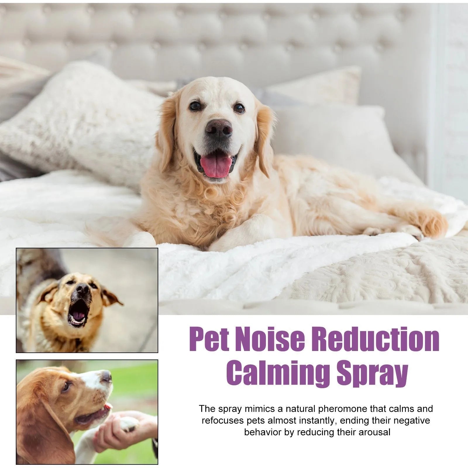Spray Calmante Anti-Abbaio per Cani – 50ml, Camomilla e Lavanda, Riduce Comportamenti Negativi