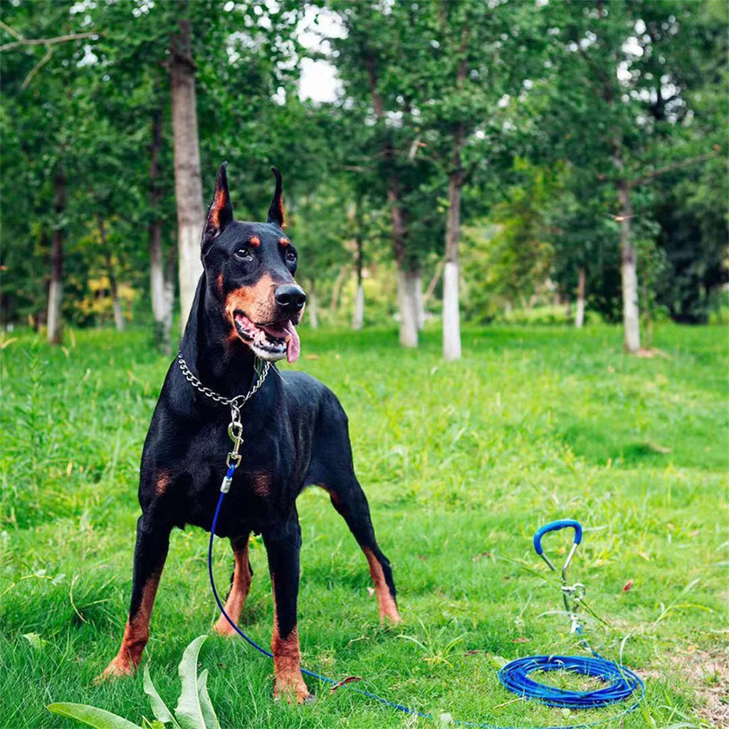 Collare a Catena in Acciaio Inox per Addestramento Cani – Regolabile, 4 Misure, Anti-Ruggine