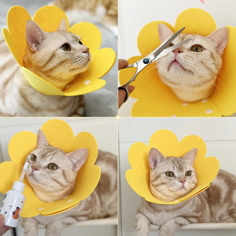 Collare di Recupero Morbido Post-Operatorio per Cani e Gatti – Alternativa Comoda al Cono Rigido