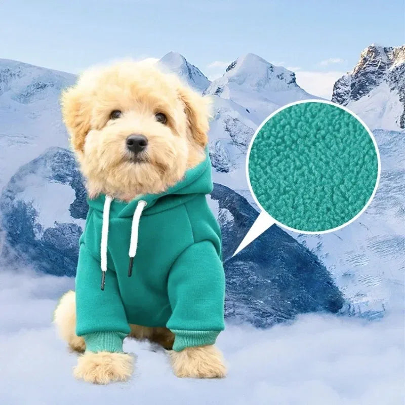 Felpa con Cappuccio in Pile per Cani Piccoli e Medi – Calda e Morbida, 4 Colori 4 Taglie