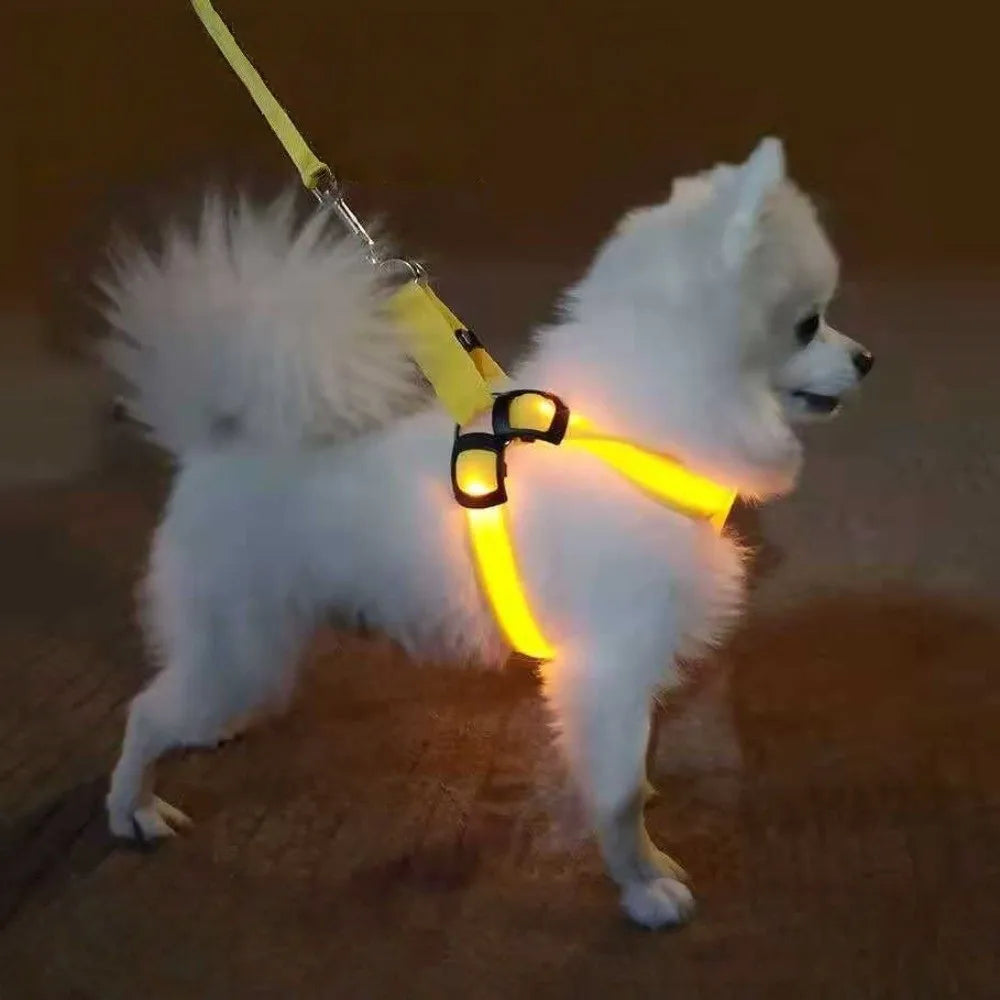 Pettorina LED Luminosa Ricaricabile per Cani – Sicurezza Notturna, 7 Colori, 4 Taglie