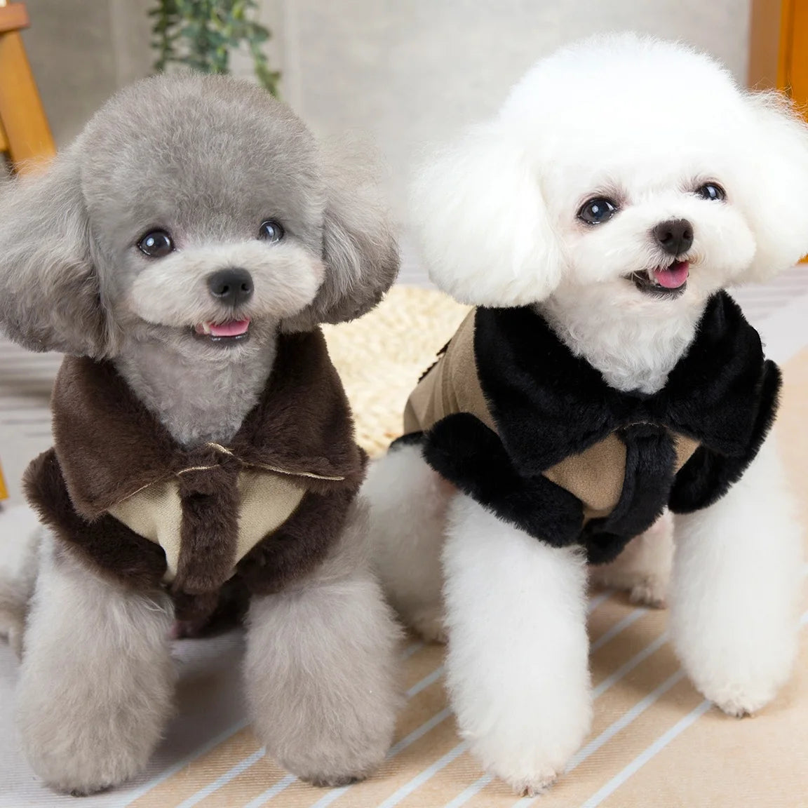 Maglione Invernale in Pile per Cani Piccoli – Autunno/Inverno, 4 Colori, 5 Taglie