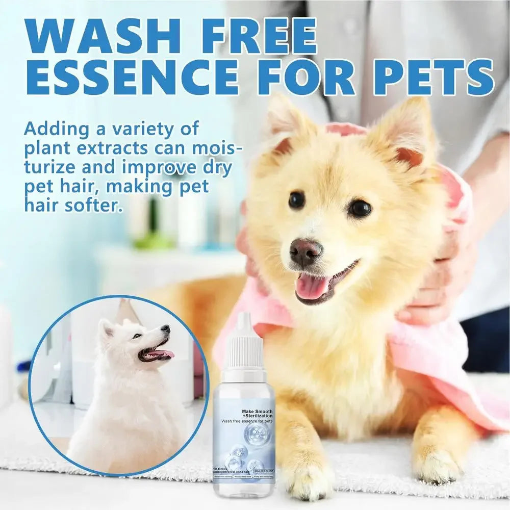 Spazzola Vapore Elettrica 3 in 1 per Cani e Gatti – Massaggio, Grooming e Districante, 7 Varianti