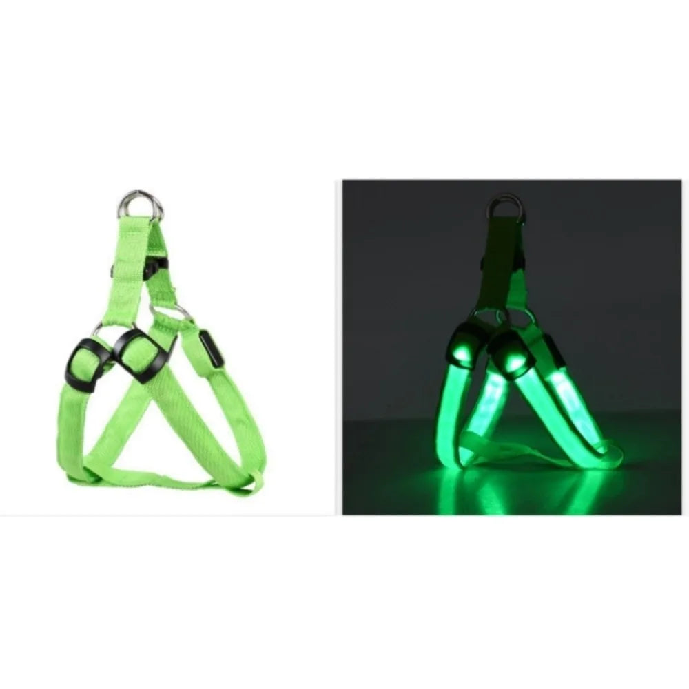 Pettorina LED Luminosa Ricaricabile per Cani – Sicurezza Notturna, 7 Colori, 4 Taglie