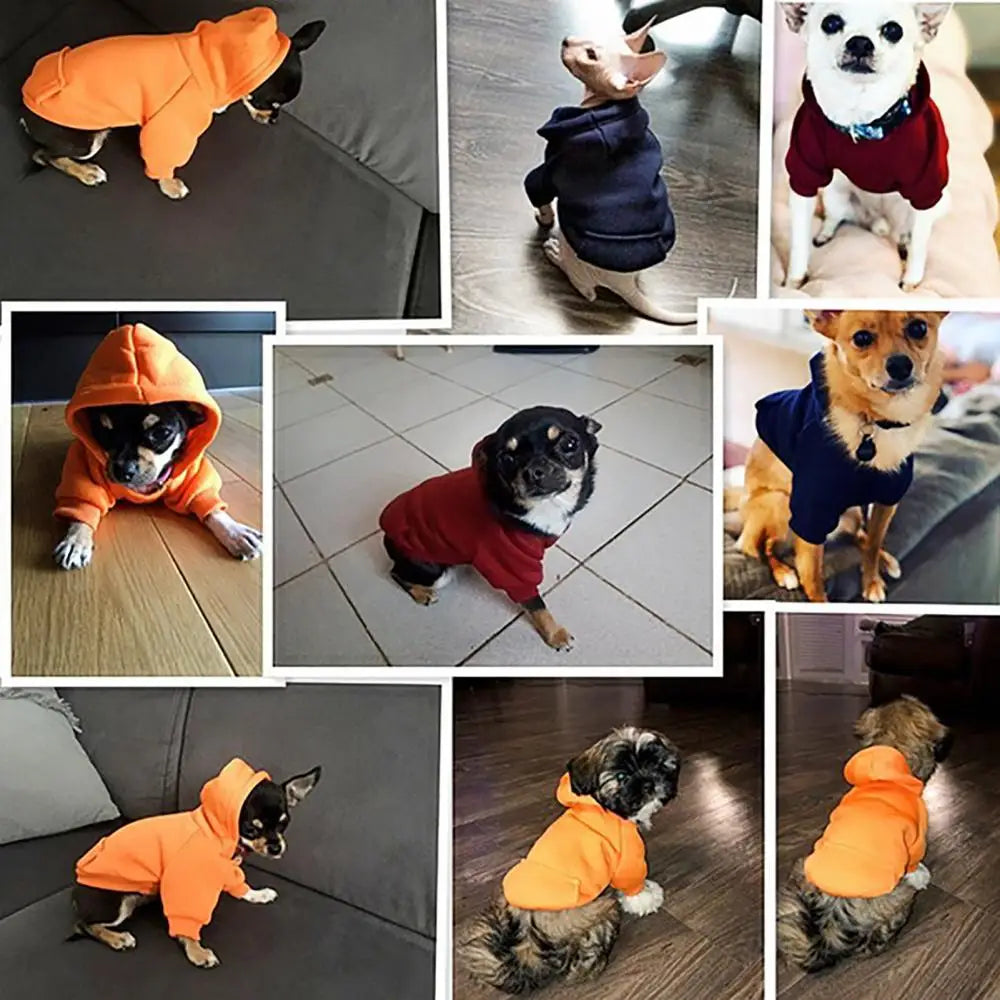 Felpa con Cappuccio Invernale per Cani Piccoli e Medi – Giacca Pet Calda, 6 Colori 6 Taglie