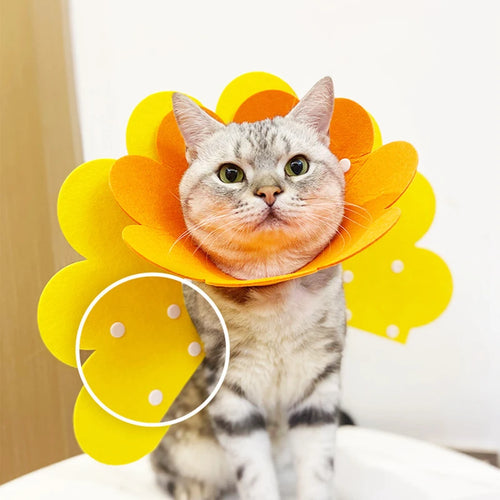 Collare di Recupero Morbido Post-Operatorio per Cani e Gatti – Alternativa Comoda al Cono Rigido