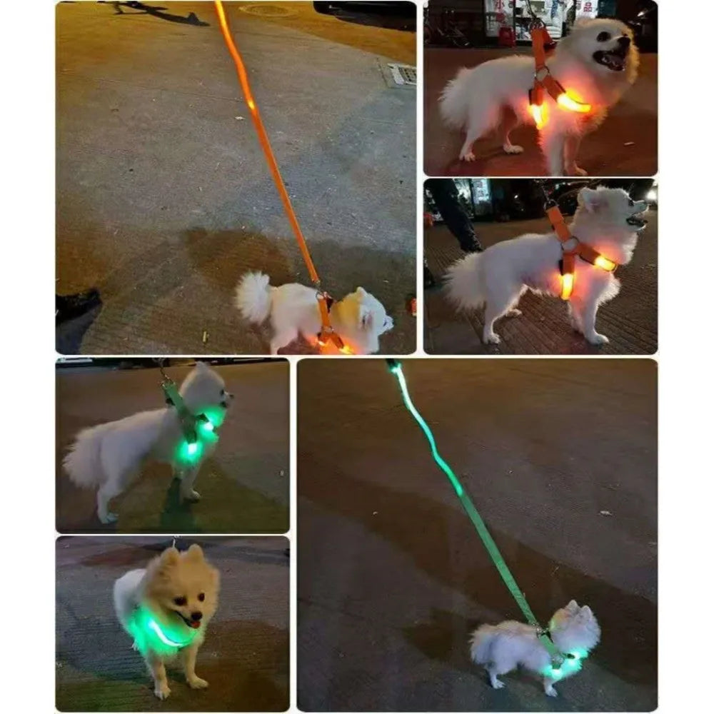 Pettorina LED Luminosa Ricaricabile per Cani – Sicurezza Notturna, 7 Colori, 4 Taglie