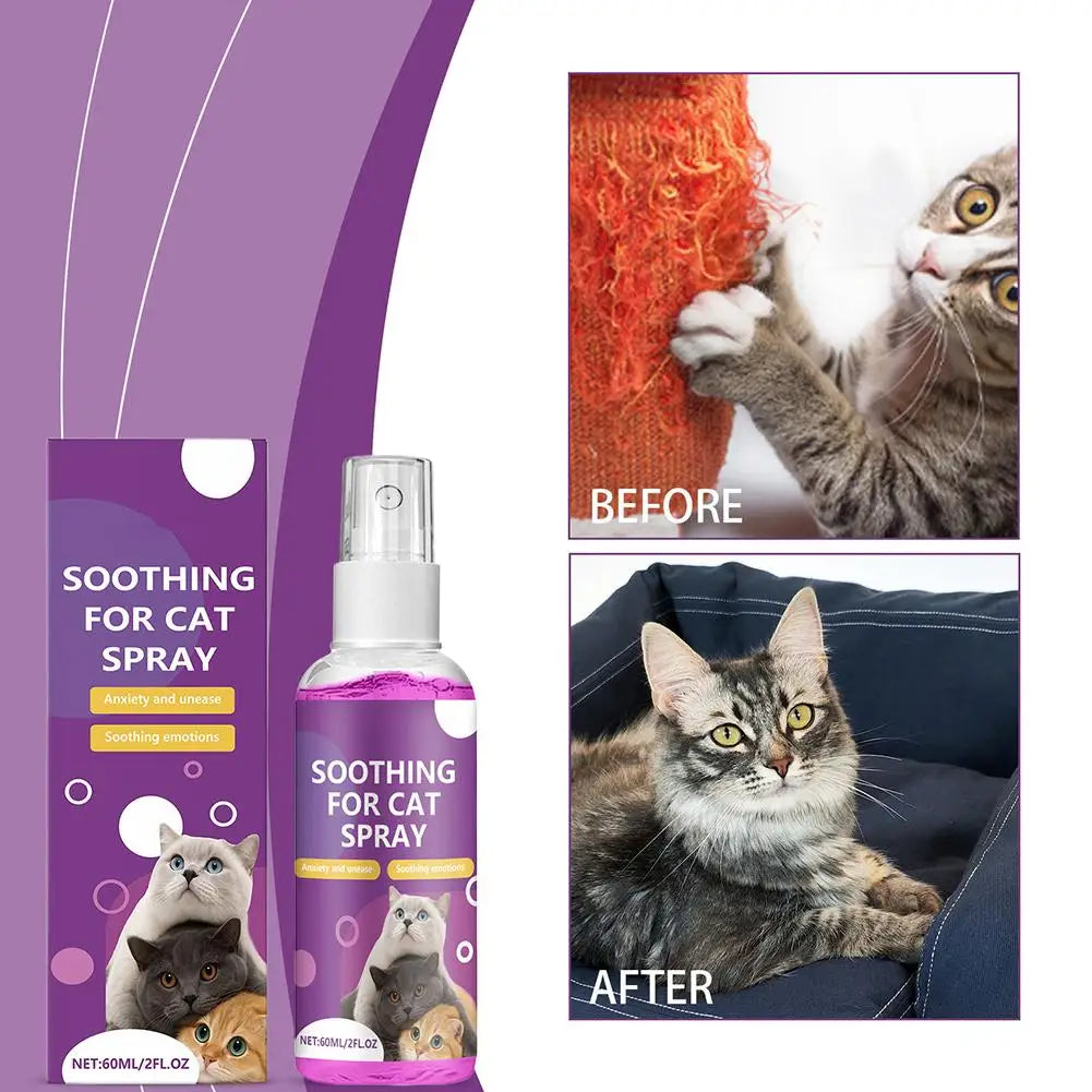 Spray Feromoni Calmanti per Gatti – 60ml, Approvato Veterinari, Anti-Graffi e Anti-Marcatura