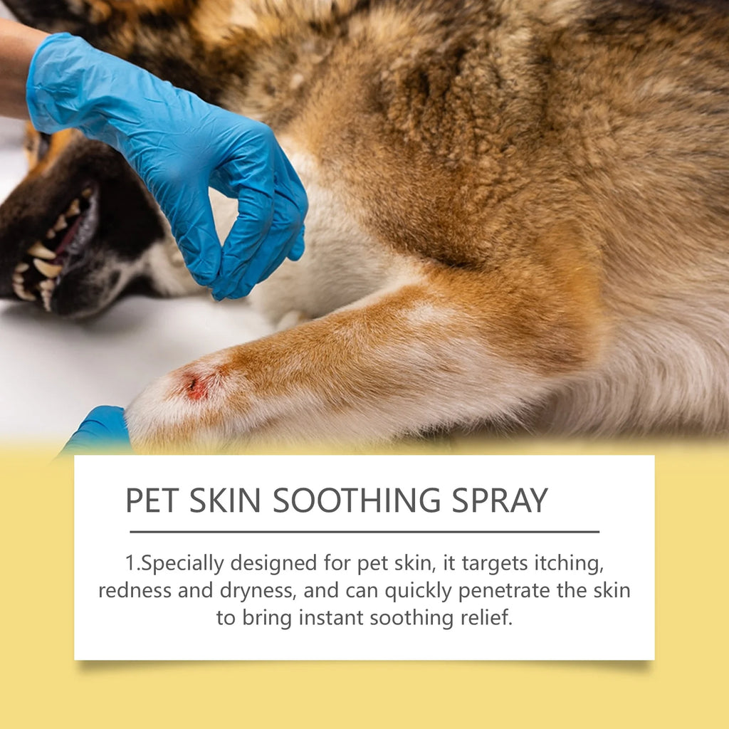 Spray Anti-Pulci, Anti-Pidocchi e Cura Pelle per Cani e Gatti – 50ml, Formula Vegetale