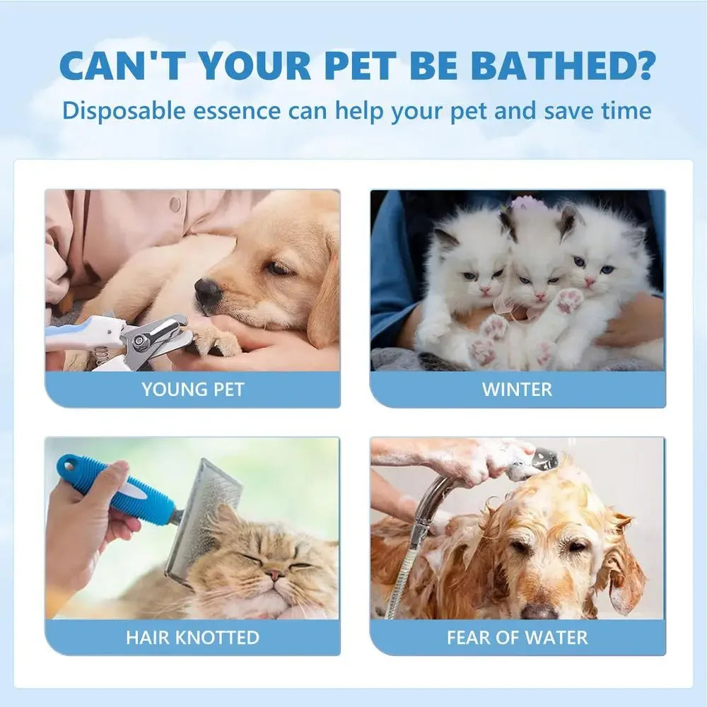 Spazzola Vapore Elettrica 3 in 1 per Cani e Gatti – Massaggio, Grooming e Districante, 7 Varianti