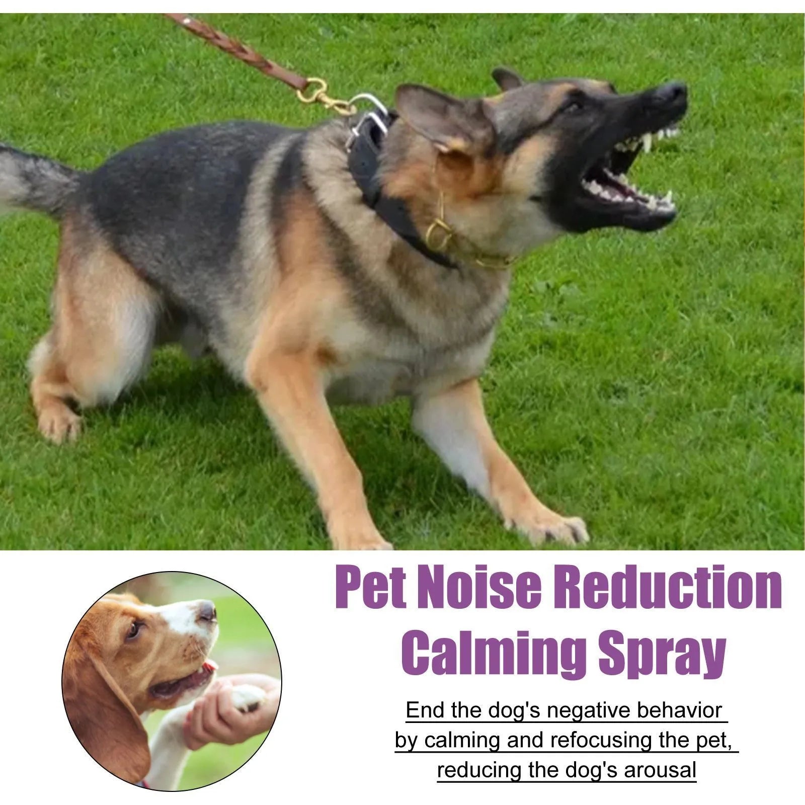 Spray Calmante Anti-Abbaio per Cani – 50ml, Camomilla e Lavanda, Riduce Comportamenti Negativi