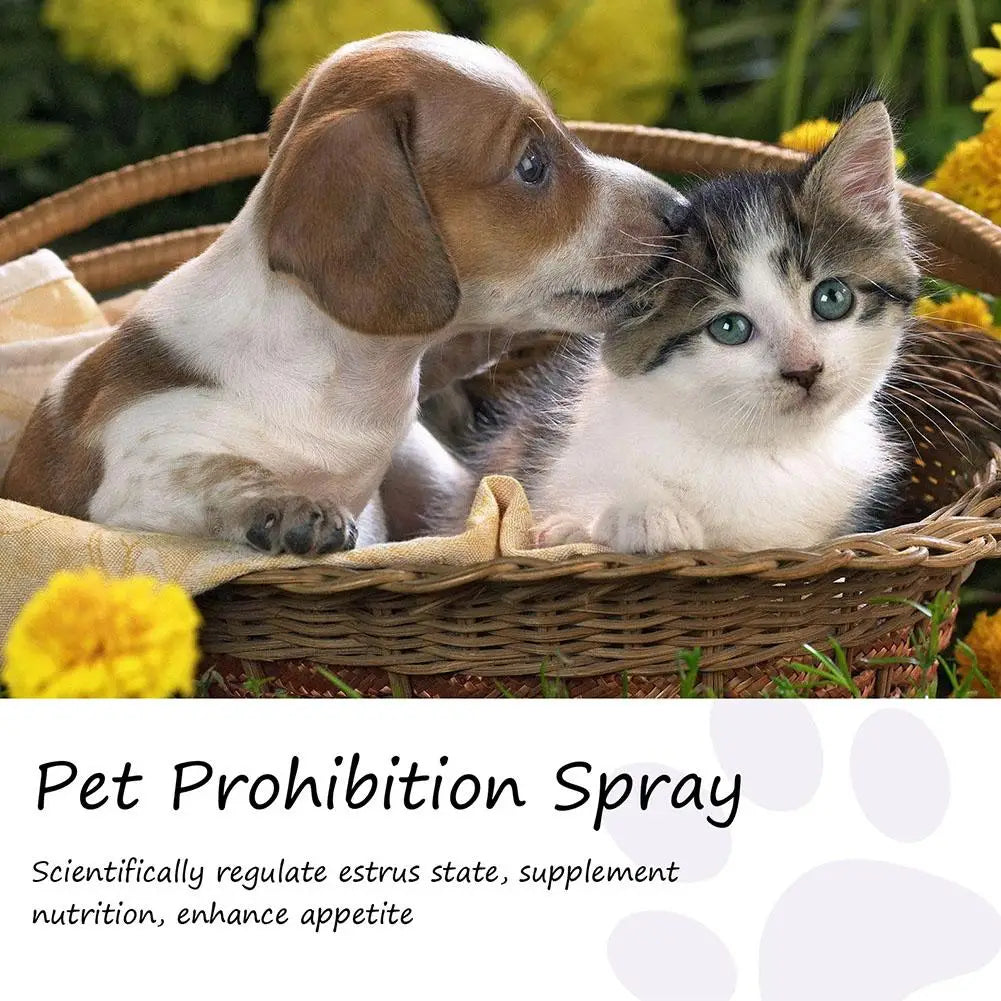 Spray Calmante Feromoni per Cani e Gatti – 50ml, Anti-Ansia, Riduce Agitazione da Estro