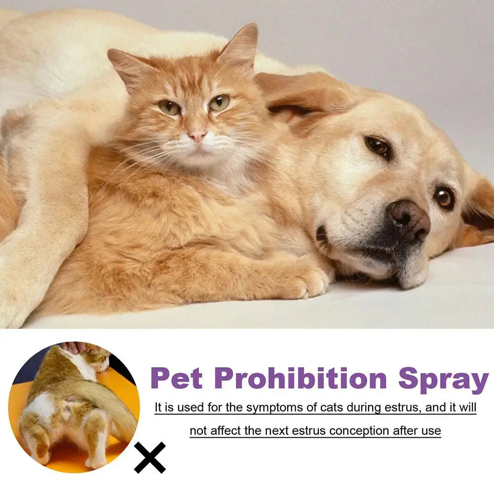 Spray Calmante Feromoni per Cani e Gatti – 50ml, Anti-Ansia, Riduce Agitazione da Estro