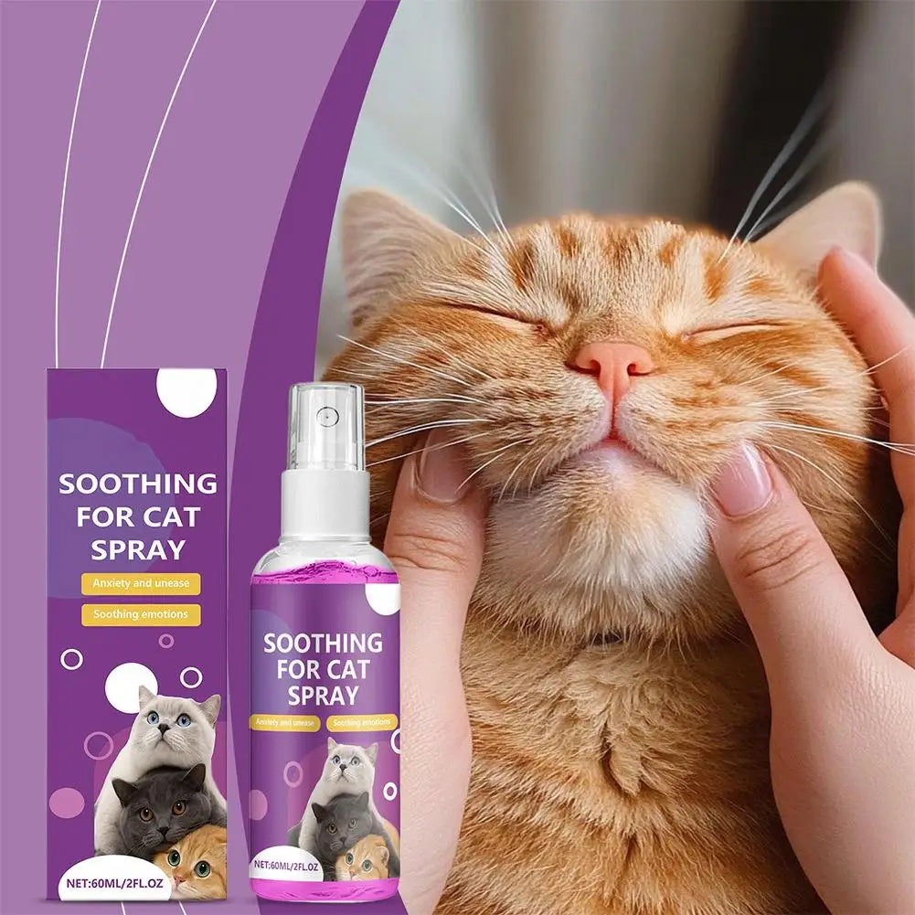 Spray Feromoni Calmanti per Gatti – 60ml, Approvato Veterinari, Anti-Graffi e Anti-Marcatura