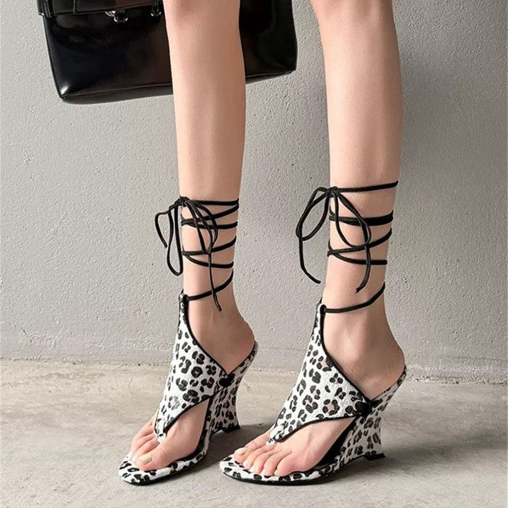 543c2f1000a253cd9110bd61723b26ba
